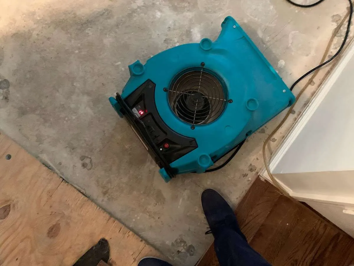 Air mover drying subfloor during Leak Detection & Repair in New Holland